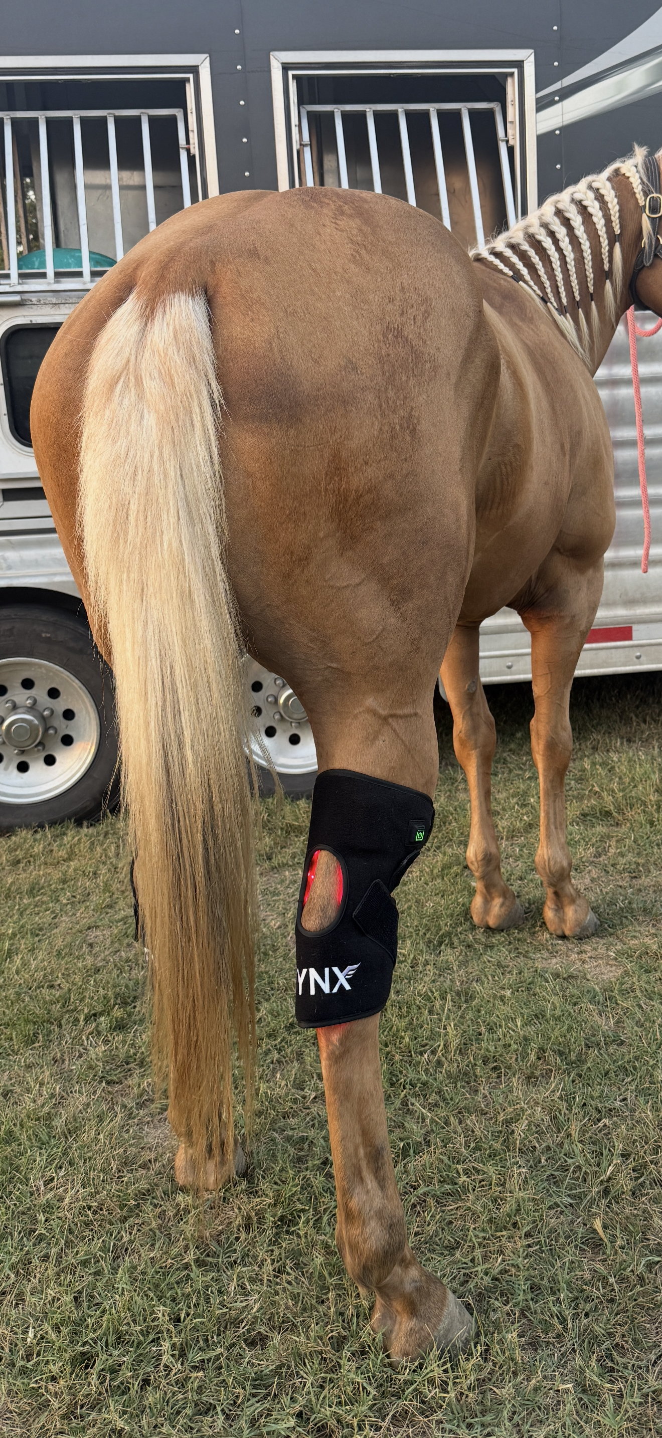 FYNX Ignite Hock Wrap