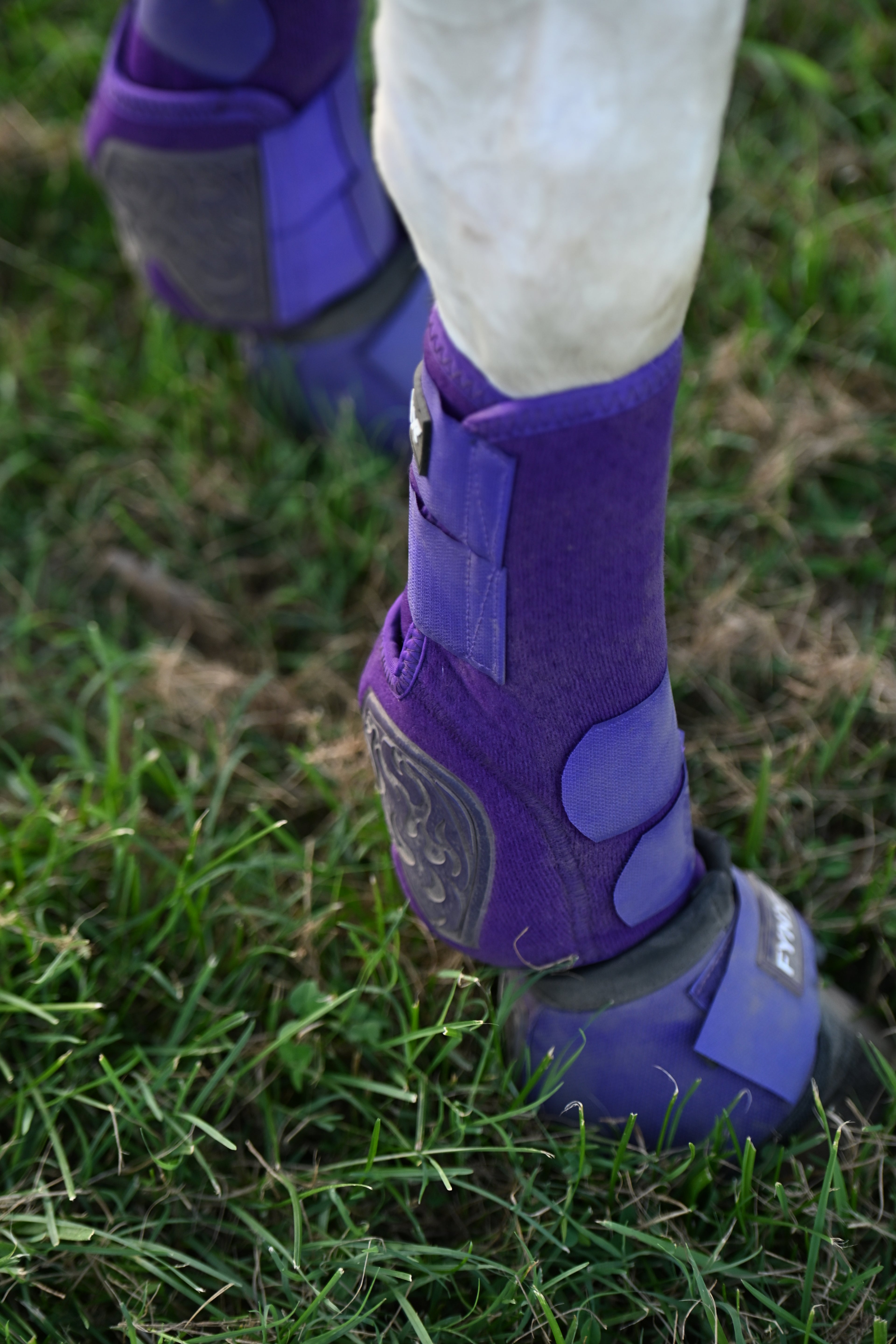 FYNX™ Splint Boots (Purple)