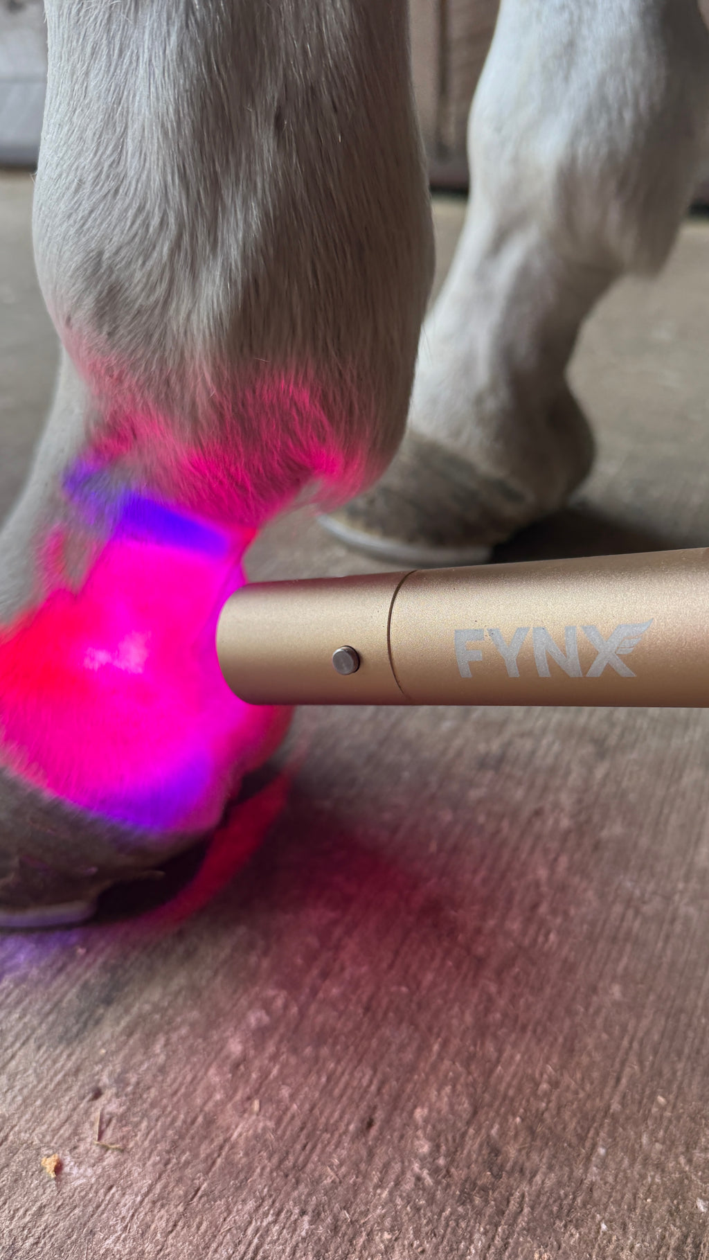 FYNX Torch | Precision Light Therapy Device