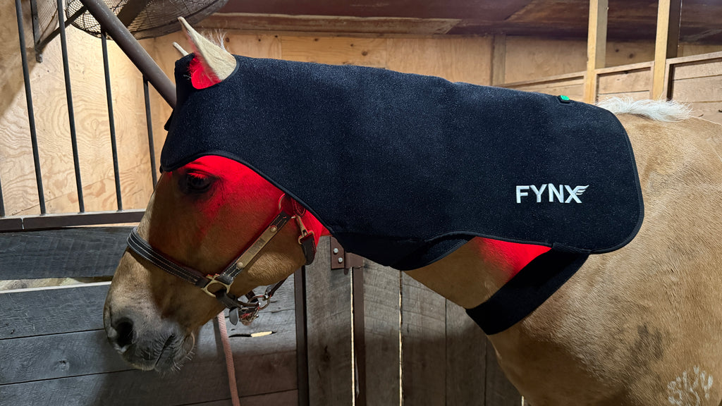 FYNX™ Ignite Extended Poll Wrap