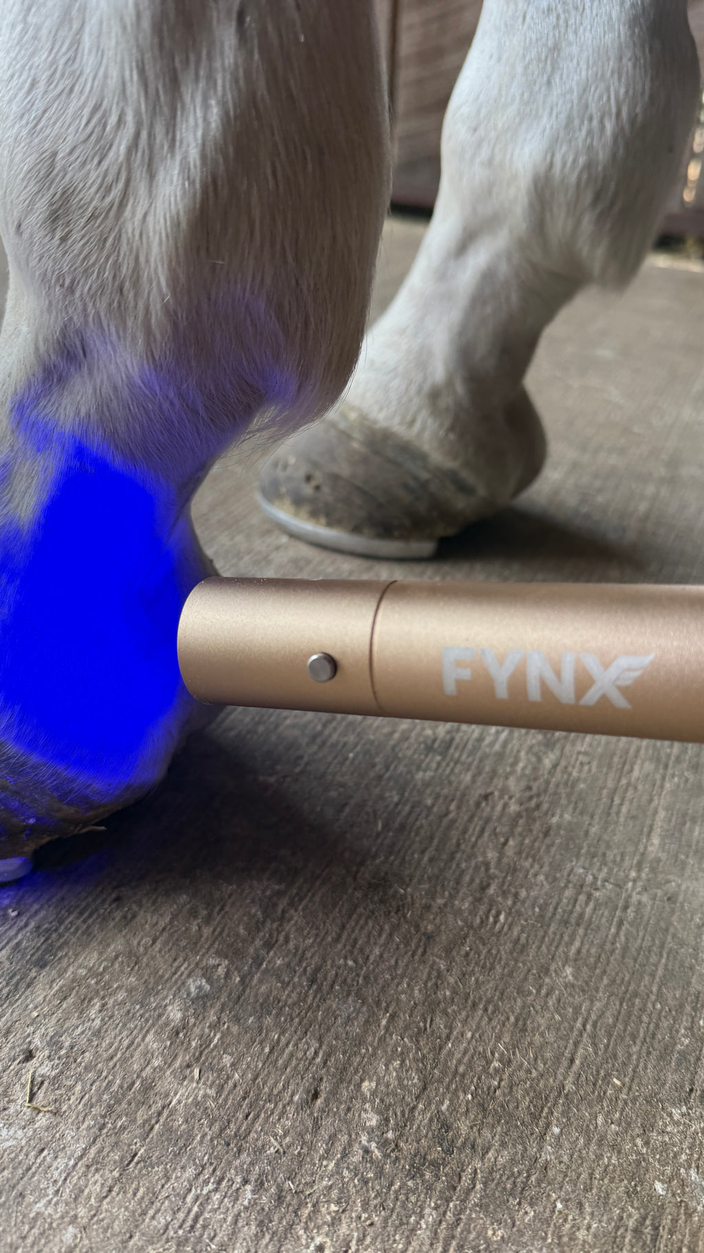 FYNX Torch | Precision Light Therapy Device
