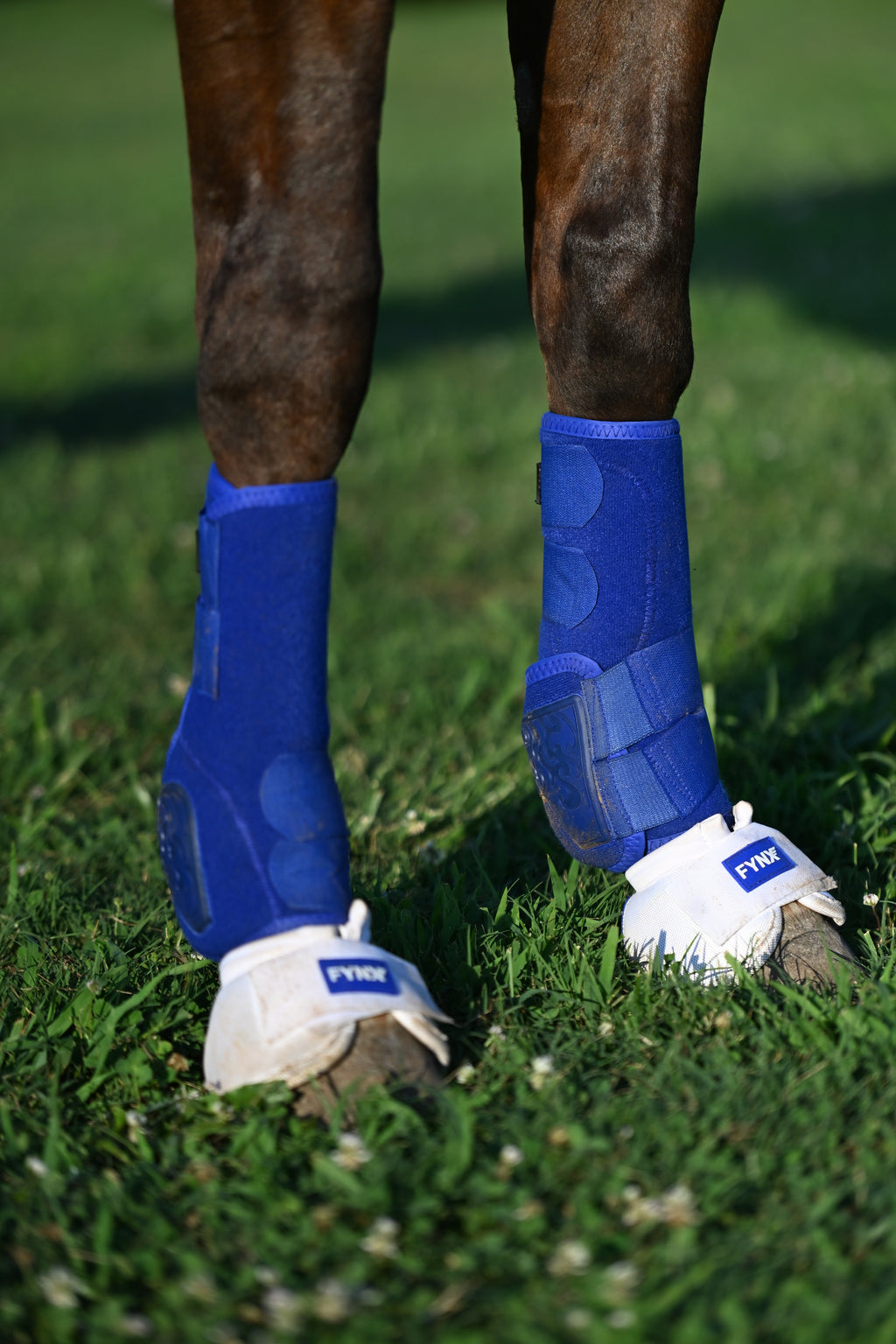 FYNX™ Splint Boots (Royal Blue)