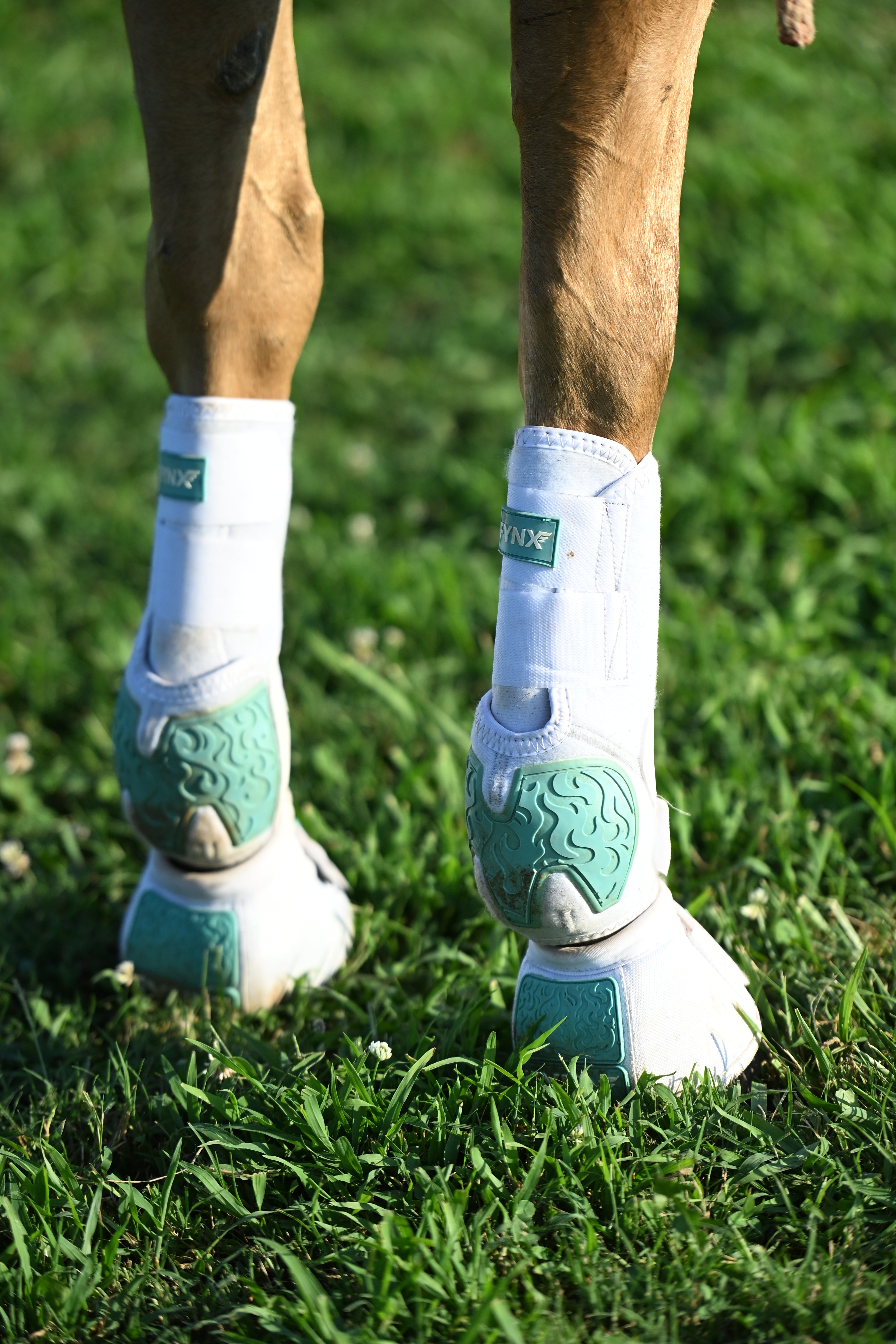 FYNX™ Bell Boots - White with Turquoise