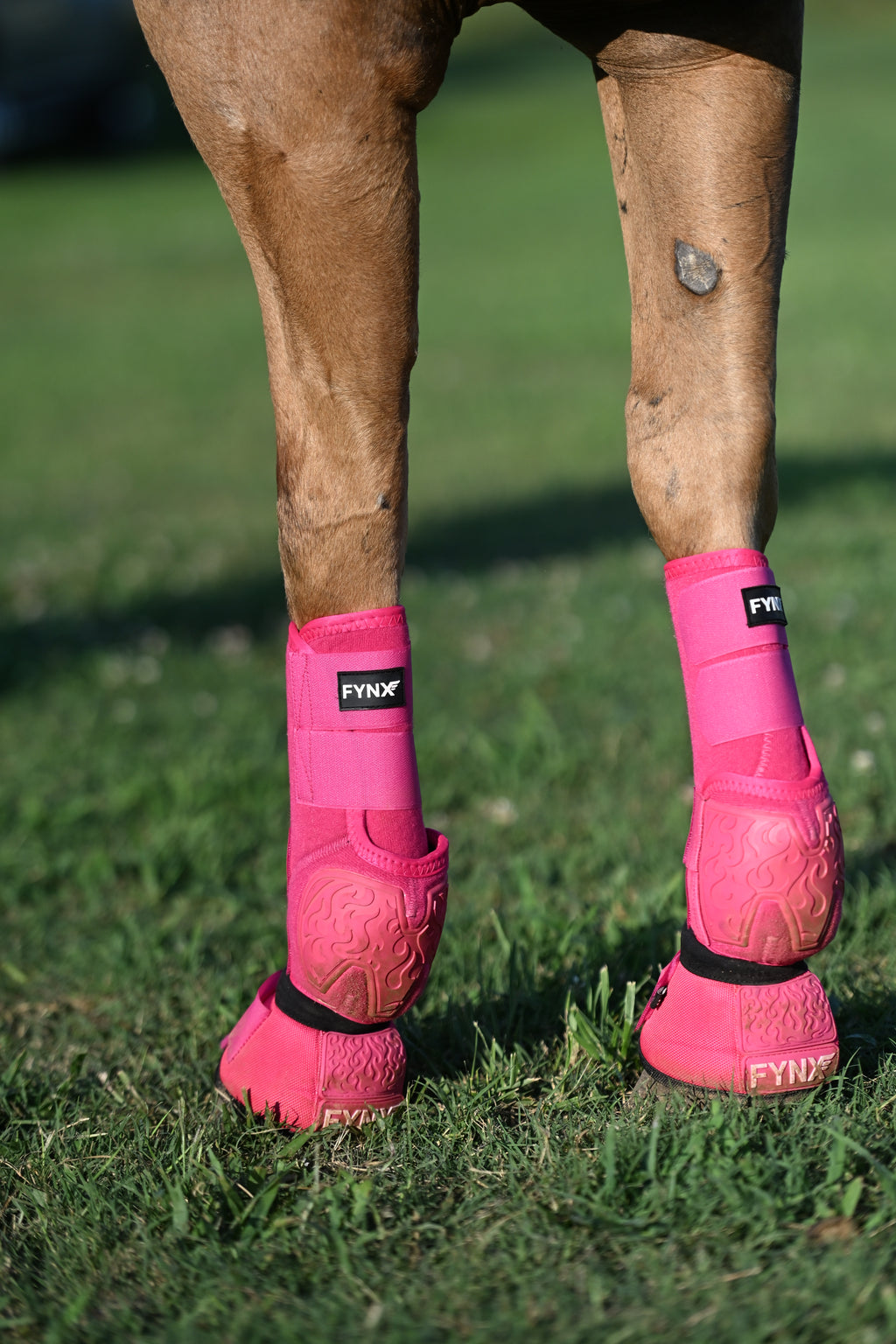 FYNX™ Splint Boots (Hot Pink)
