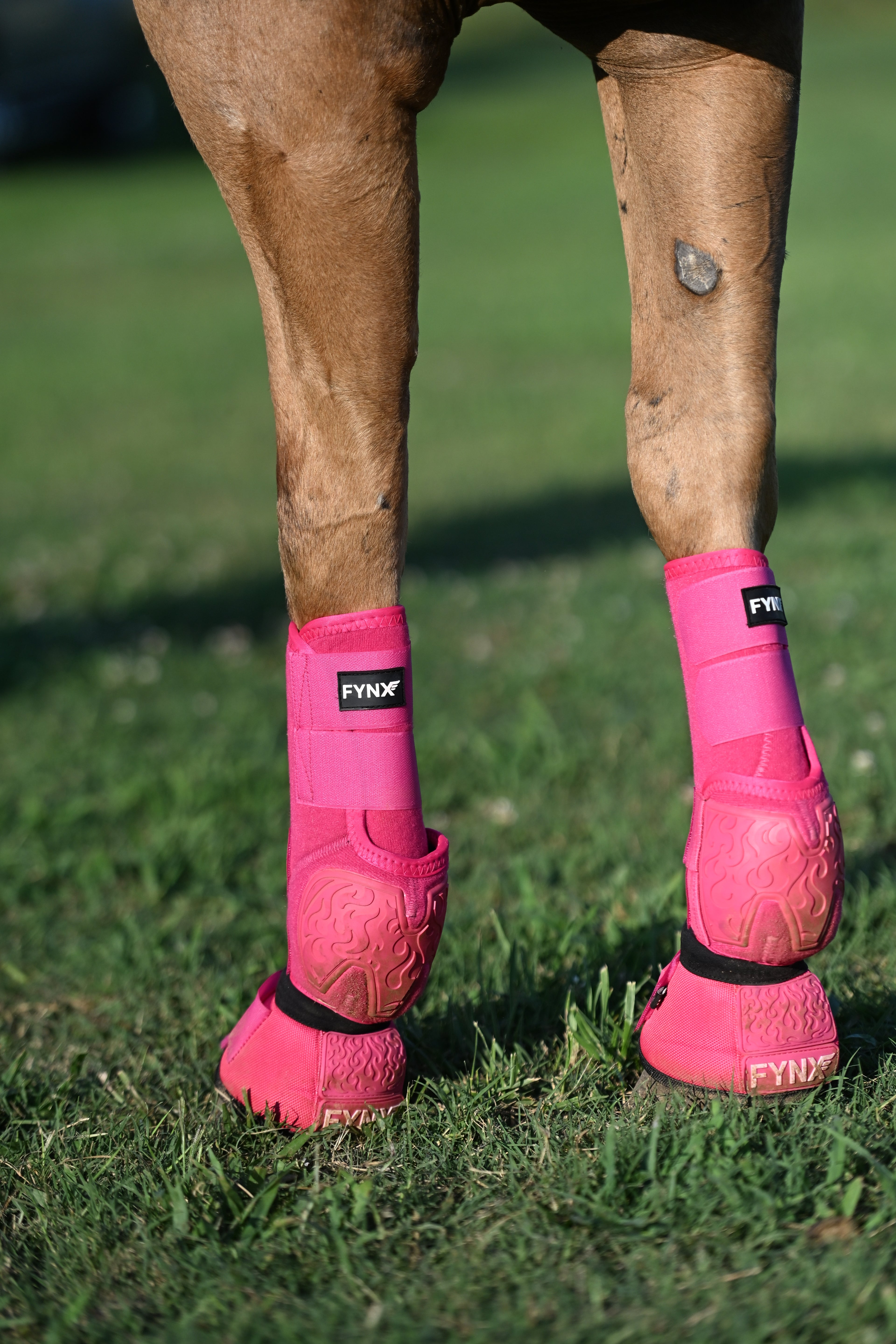 FYNX™ Splint Boots (Hot Pink)
