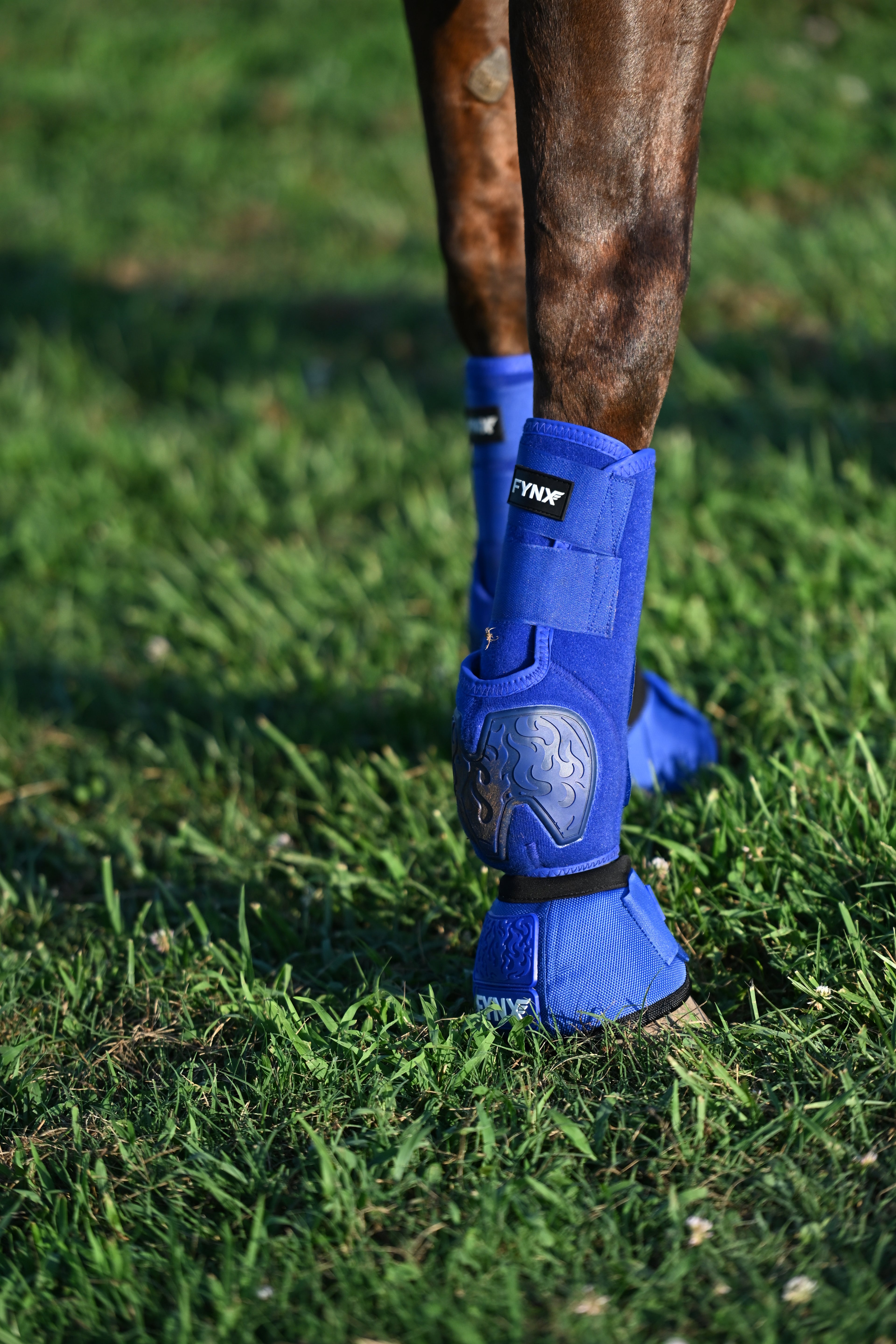 FYNX™ Splint Boots (Royal Blue)