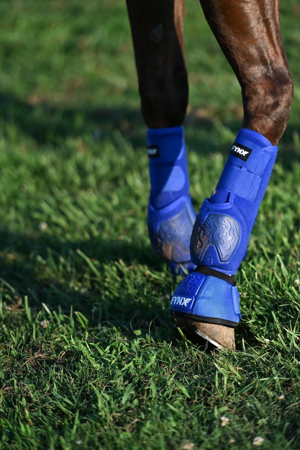 FYNX™ Splint Boots (Royal Blue)