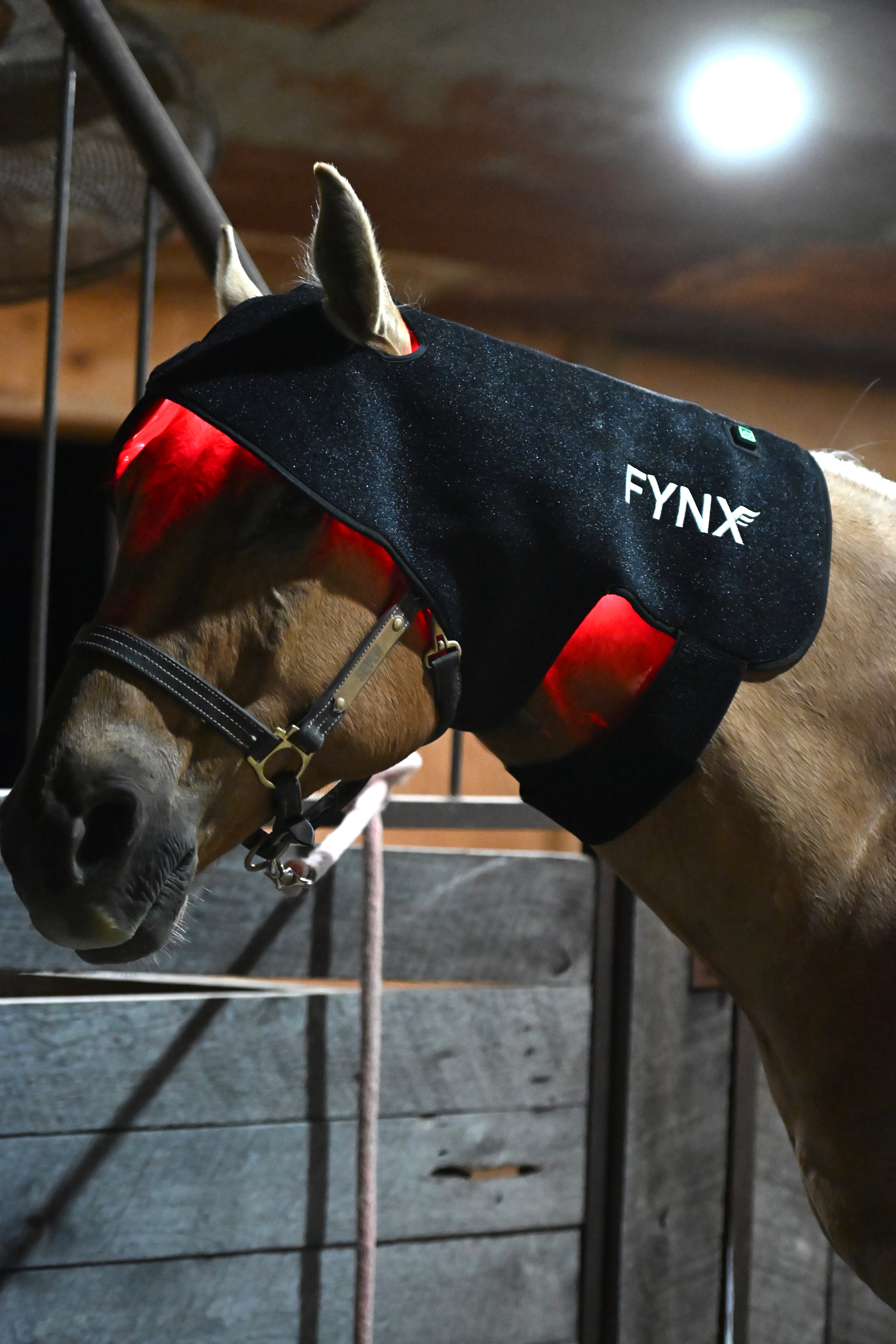 FYNX™ Ignite Poll Wrap