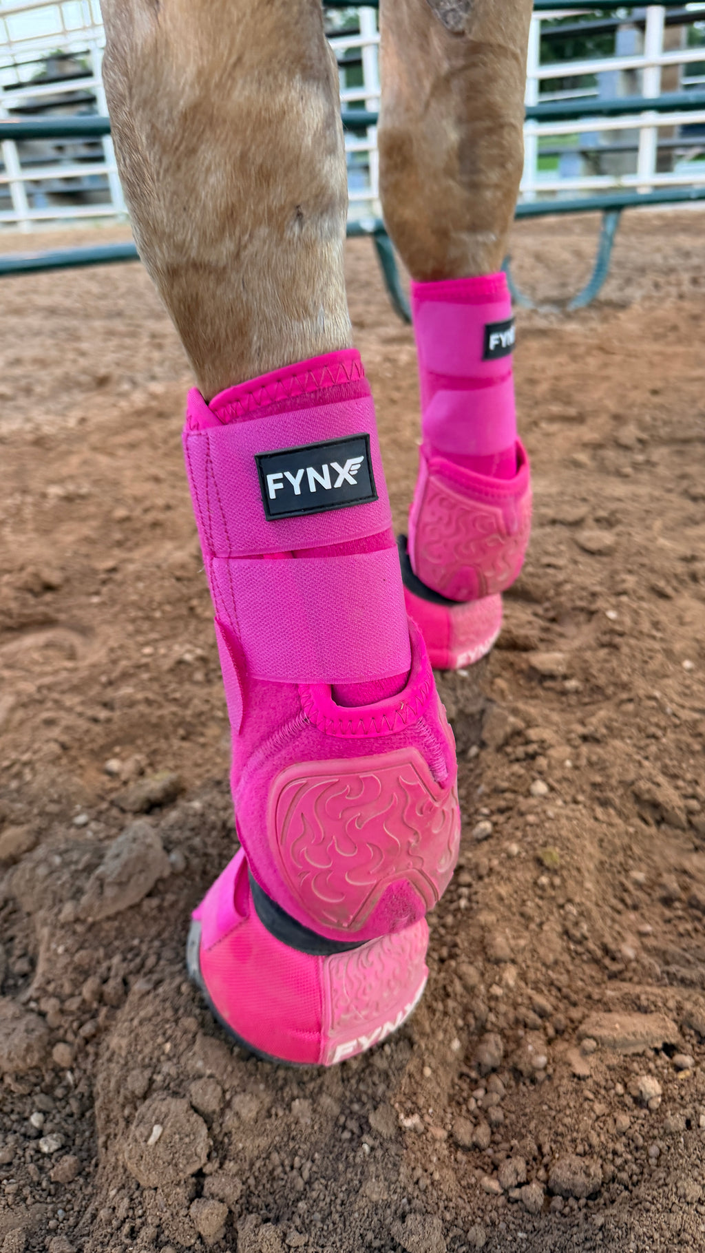 FYNX™ Splint Boots (Hot Pink)