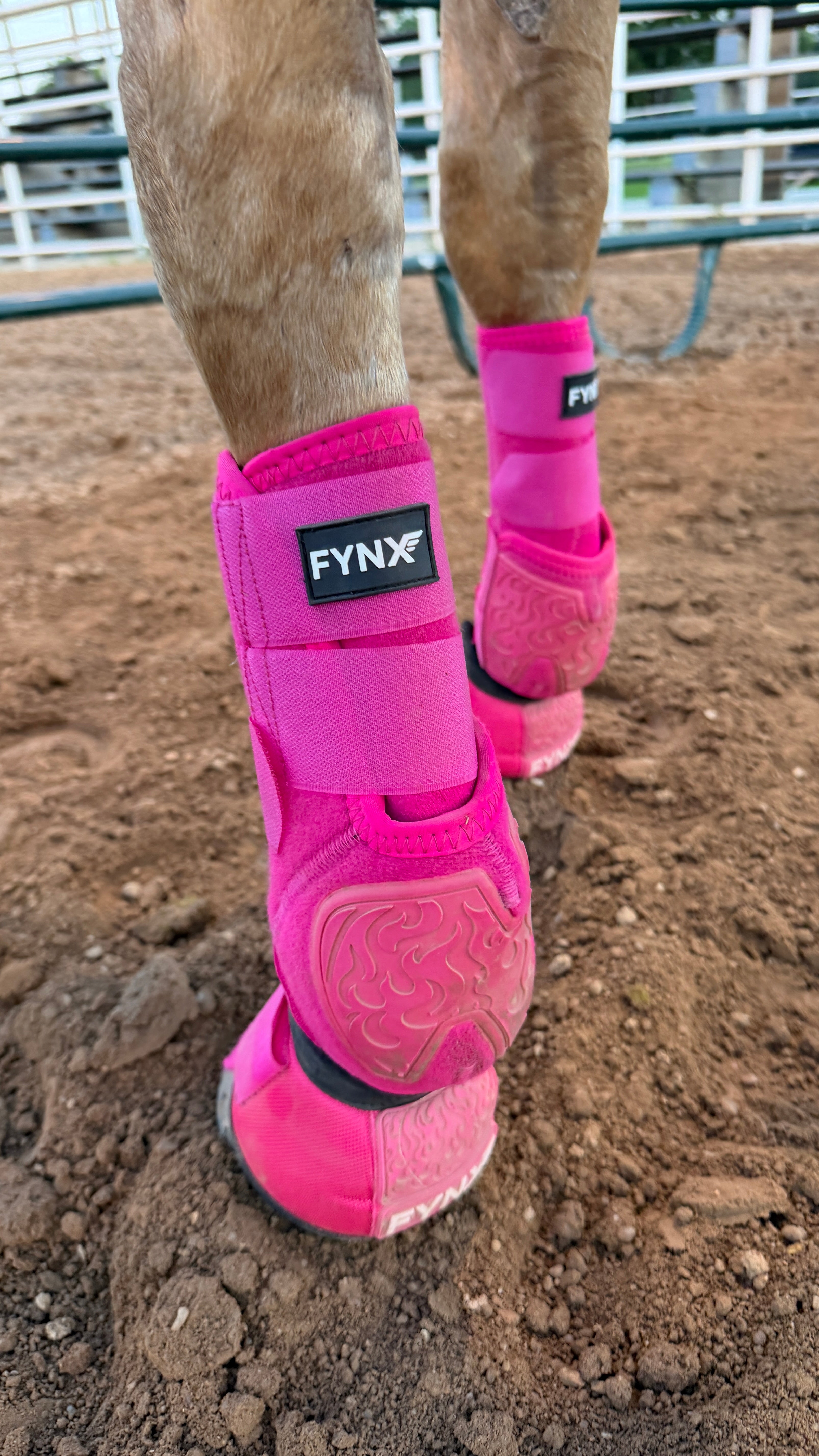 FYNX™ Splint Boots (Hot Pink)
