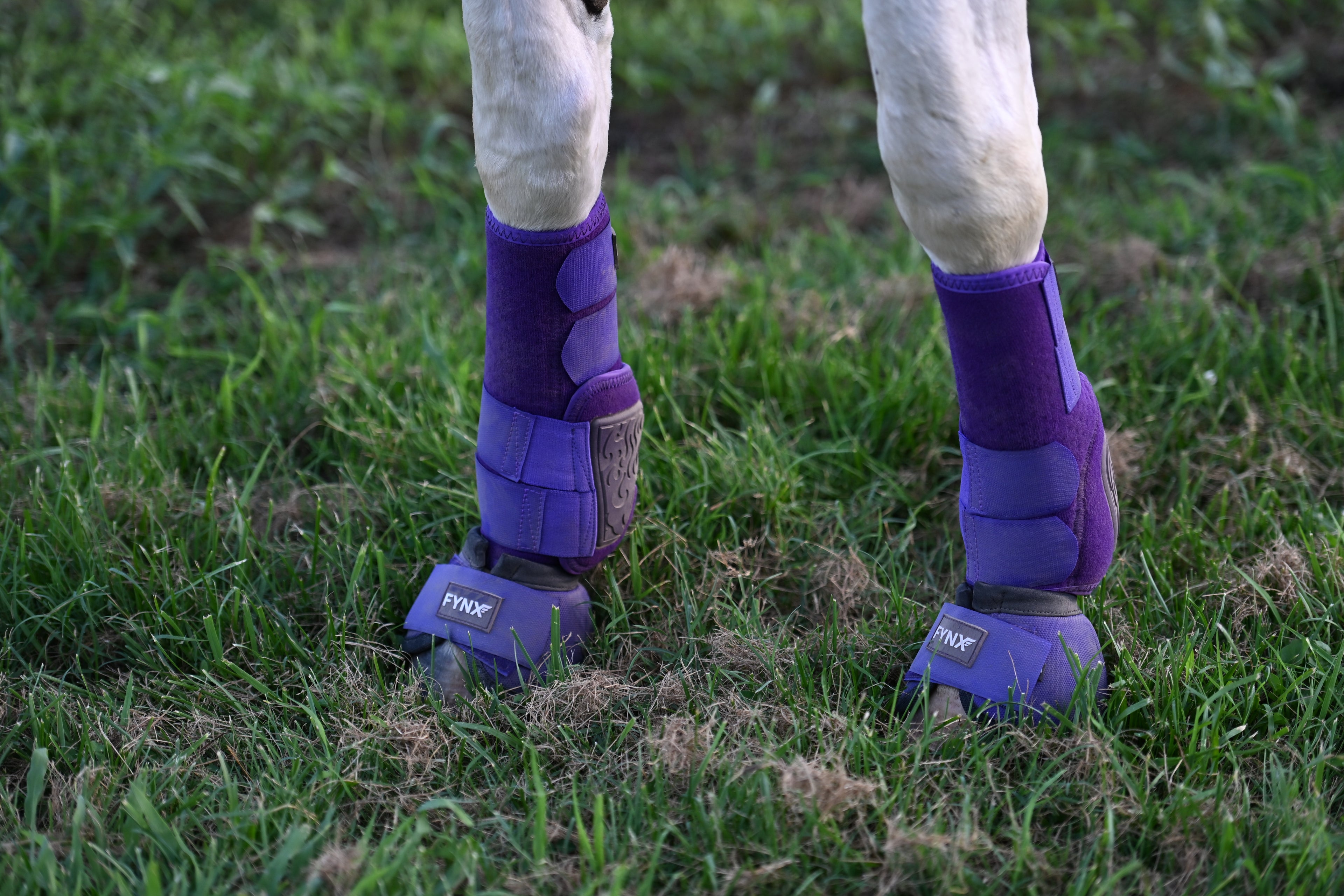 FYNX™ Bell Boots - Purple