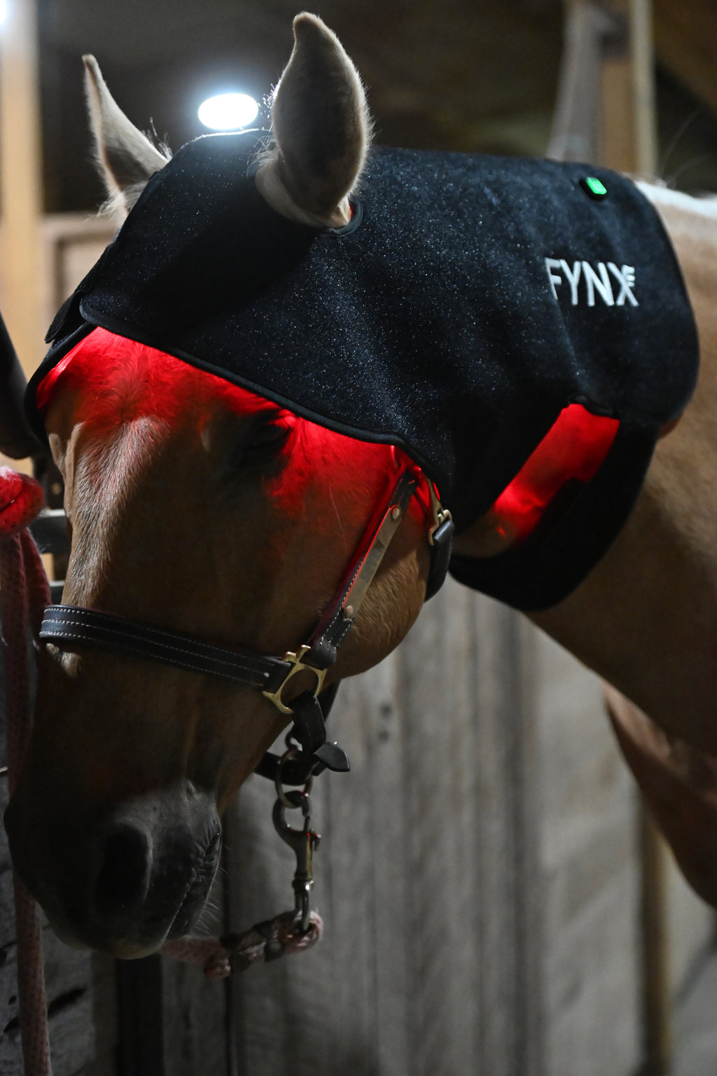 FYNX™ Ignite Poll Wrap