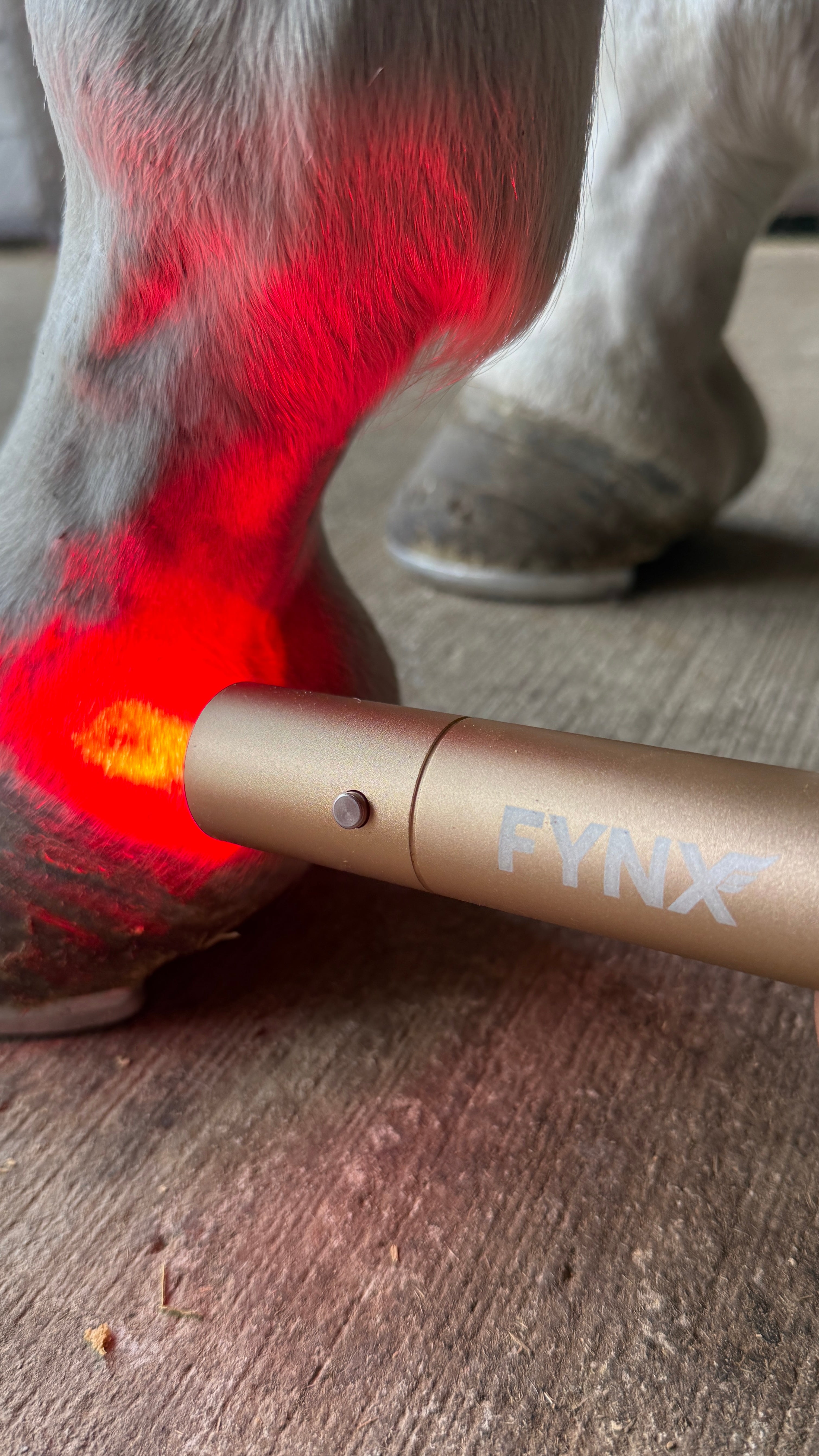 FYNX Torch | Precision Light Therapy Device