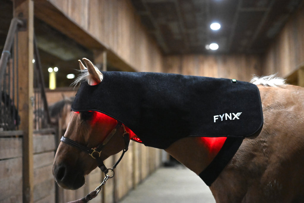 FYNX™ Ignite Extended Poll Wrap