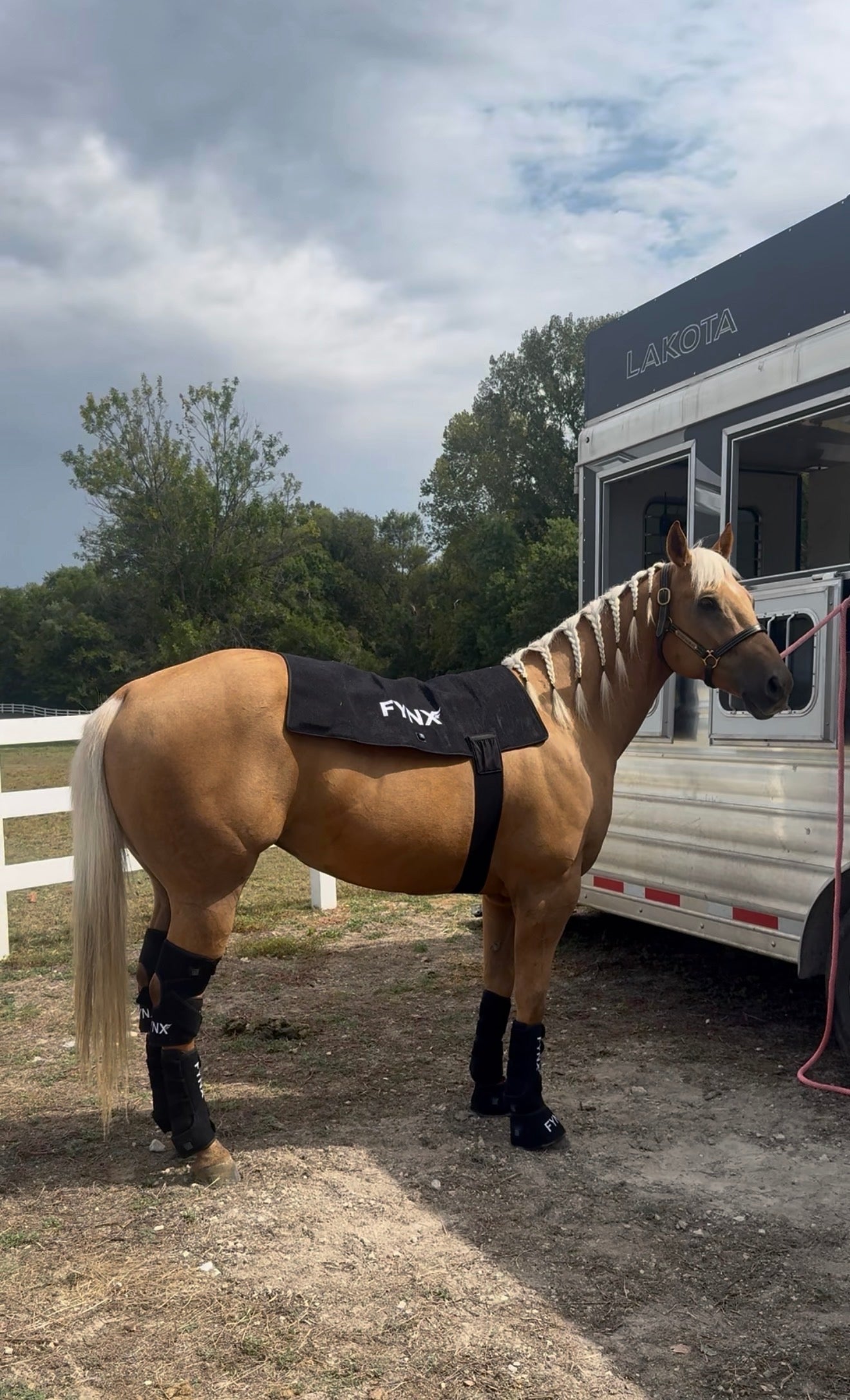 FYNX™ IGNITE Pro Back System