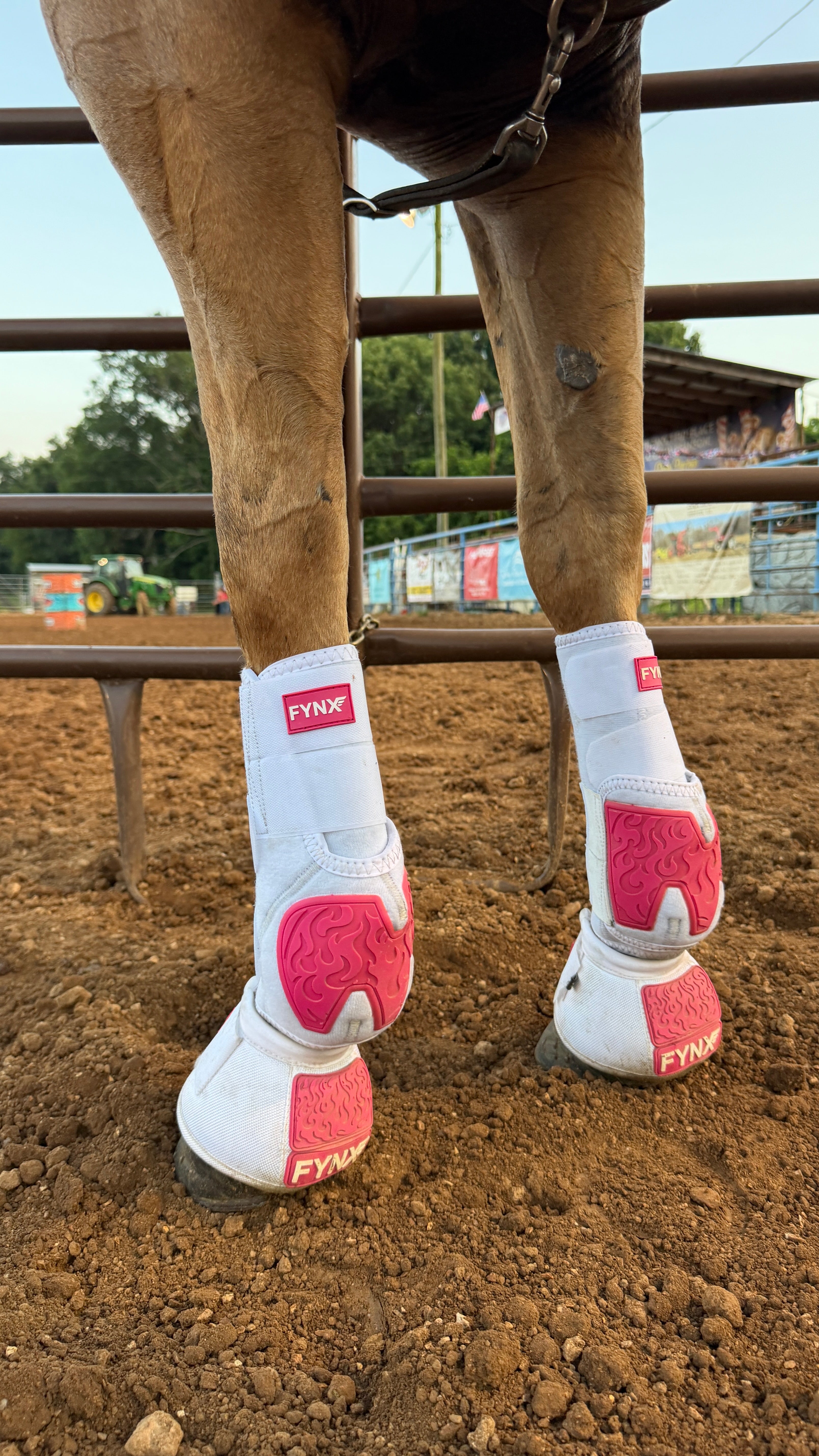 FYNX™ Splint Boots (White with Hot Pink)