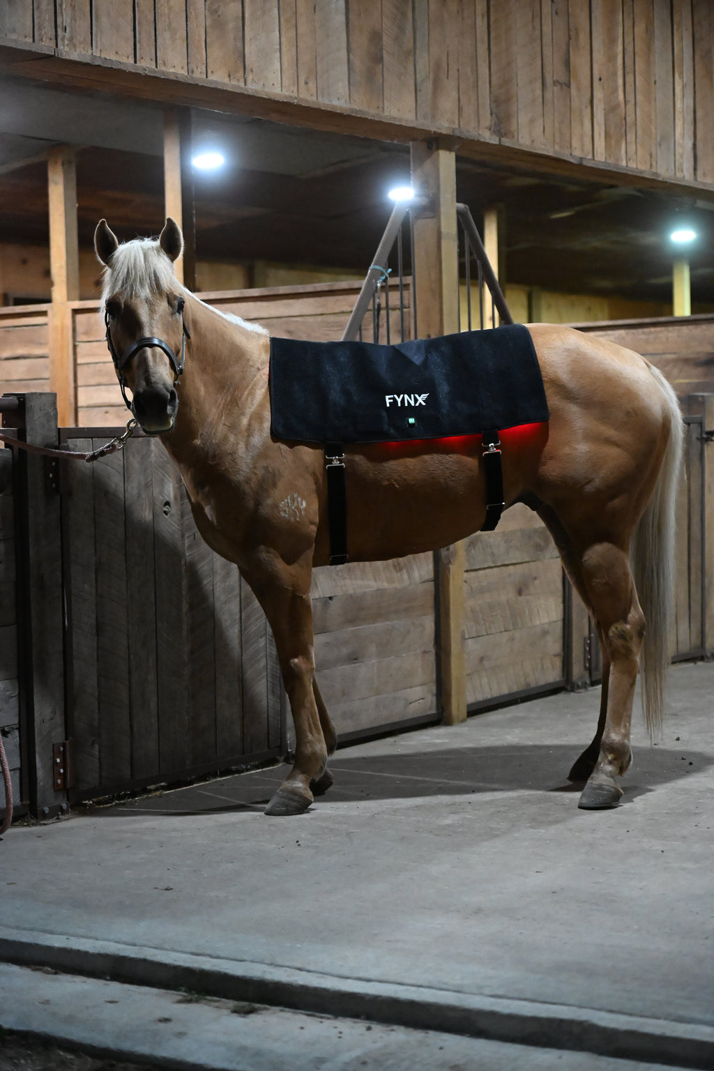 FYNX™ IGNITE Pro Back System
