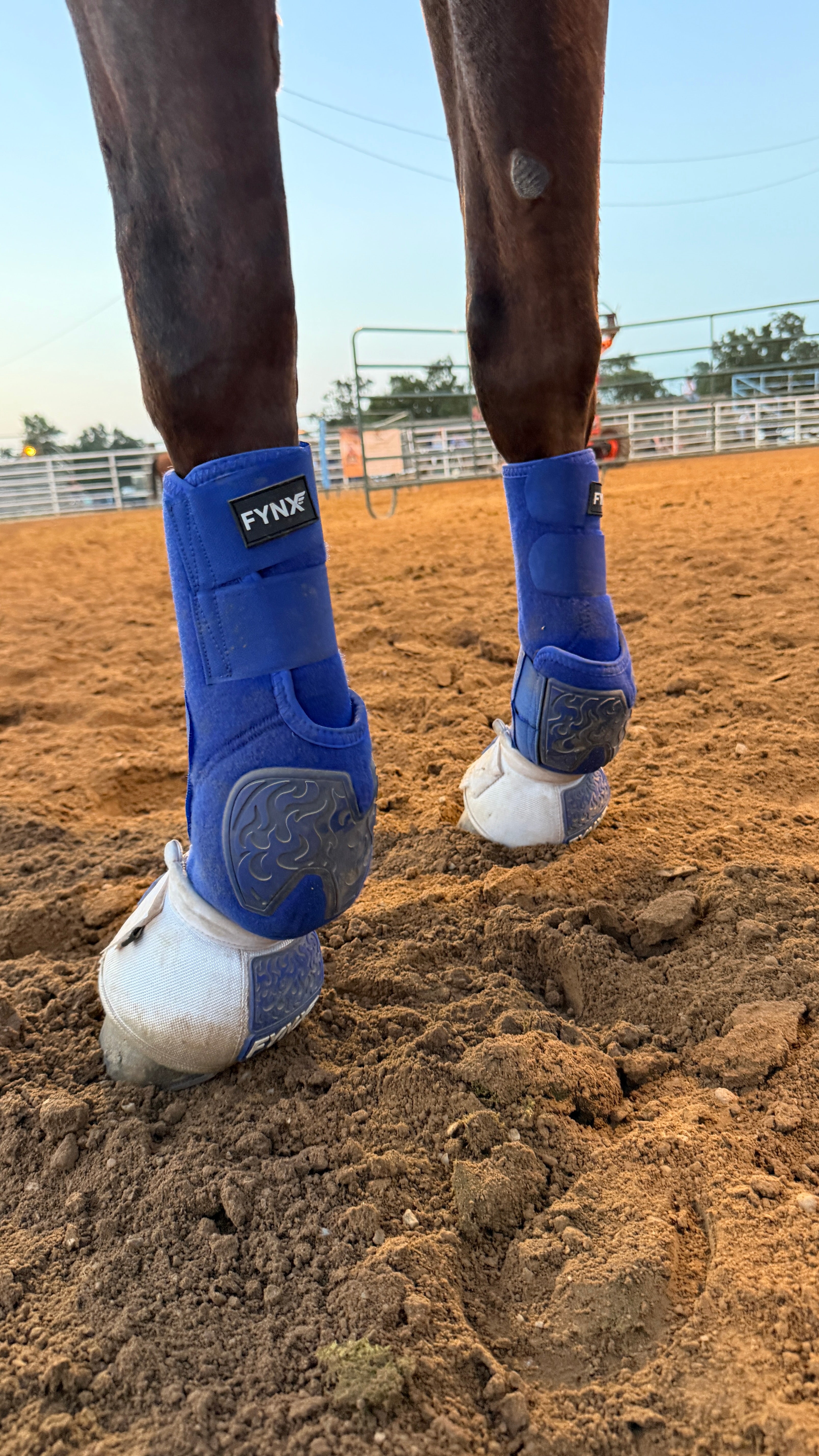 FYNX™ Bell Boots - White with Royal Blue
