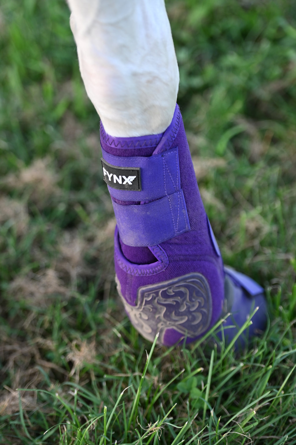 FYNX™ Splint Boots (Purple)