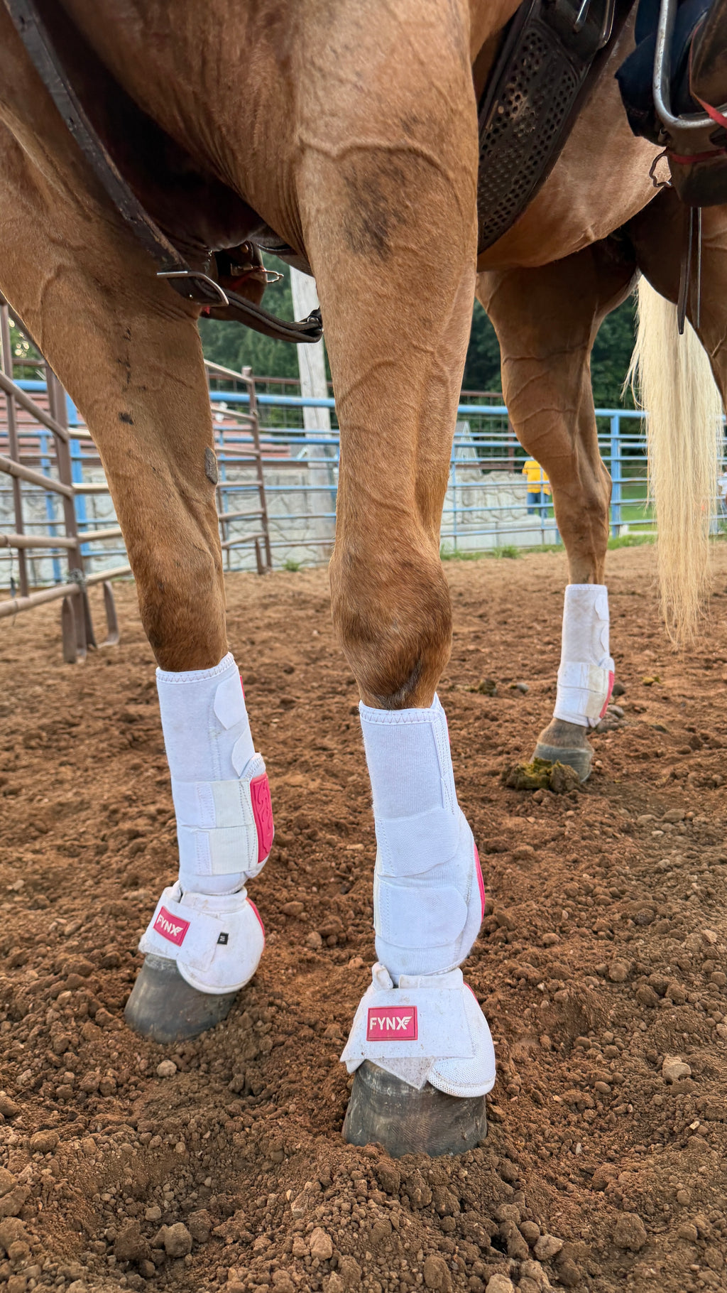 FYNX™ Bell Boots - White with Hot Pink