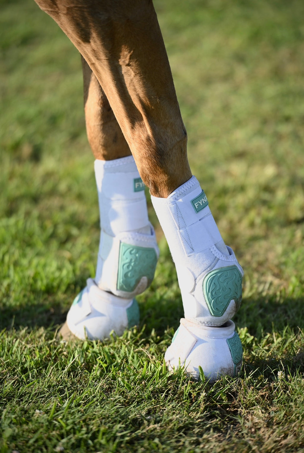 FYNX™ Splint Boots (White with Turquoise)