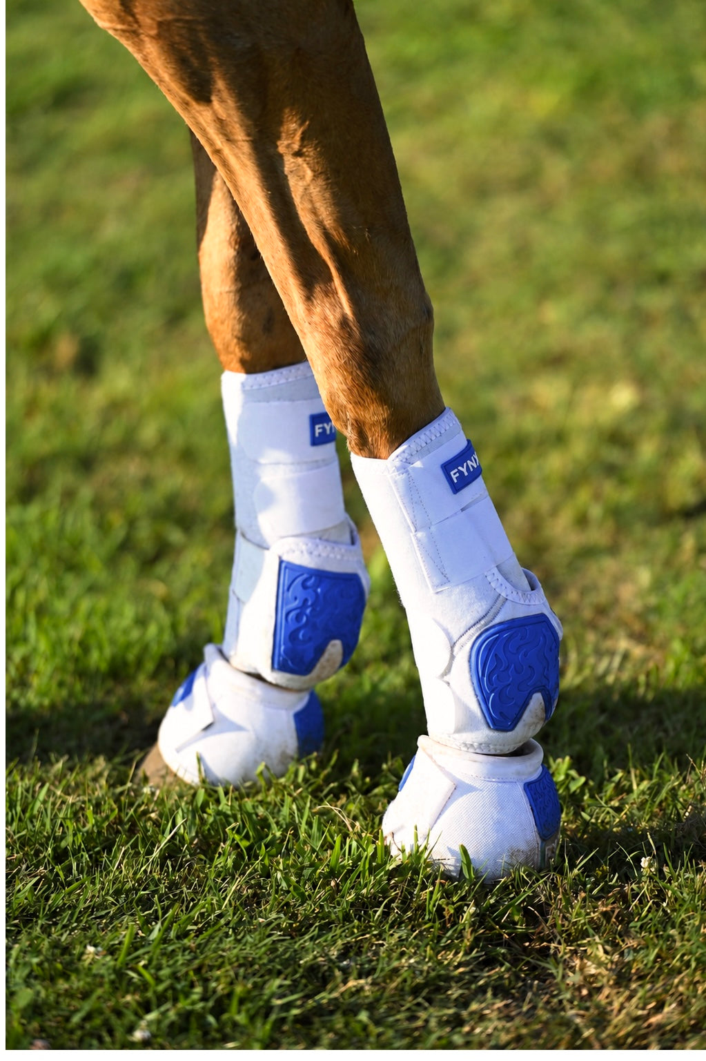 FYNX™ Splint Boots (White with Royal Blue)