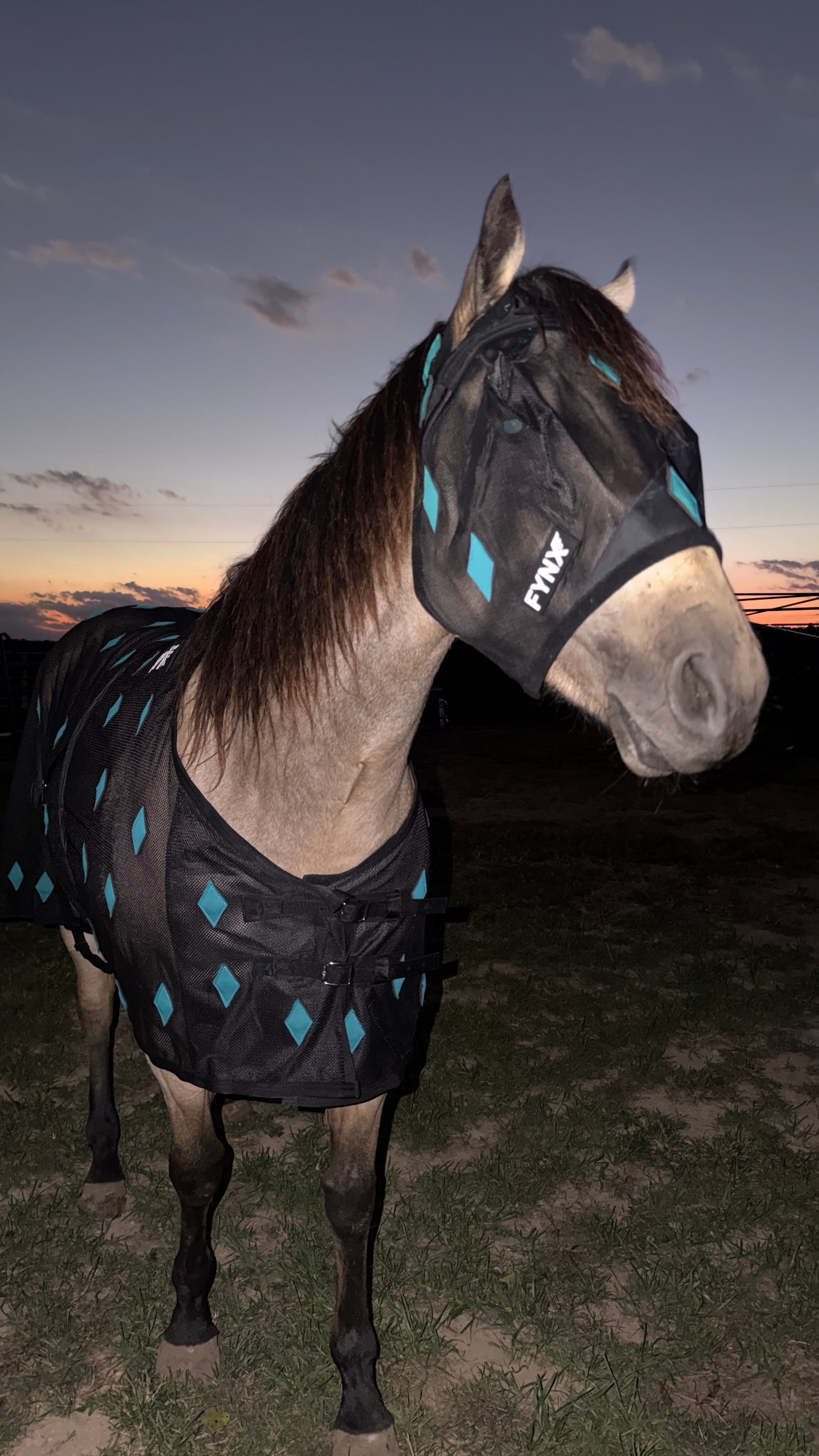 Fynx Flow Luxury Fly Mask — Magnetic & Ceramic Therapy (Black & Turqoise)