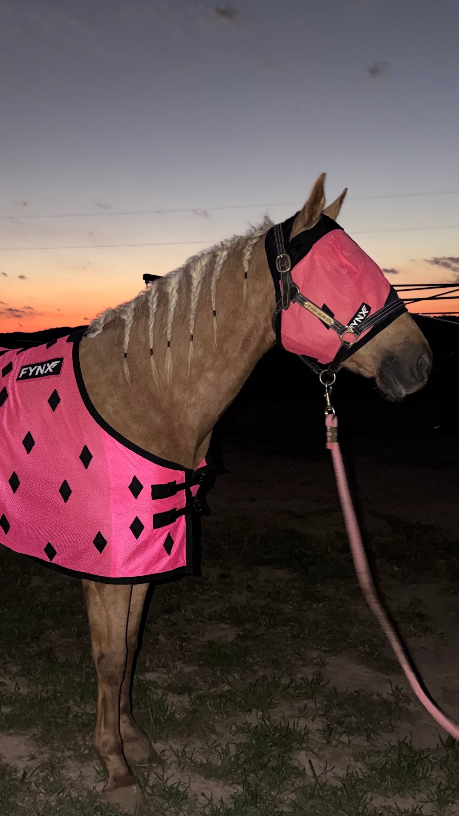 Fynx Flow Luxury Fly Mask — Magnetic & Ceramic Therapy (Hot Pink & Black)