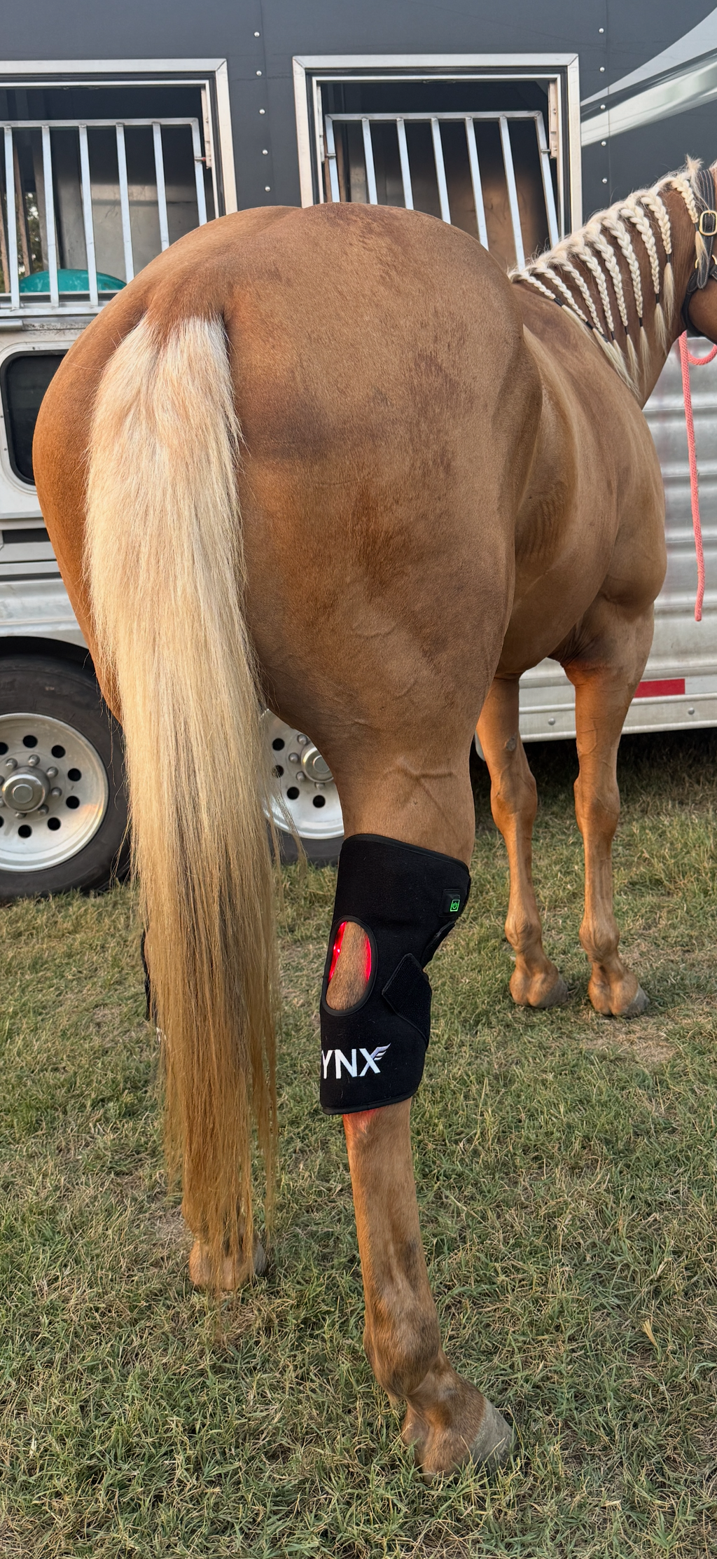 FYNX Ignite Hock Wrap