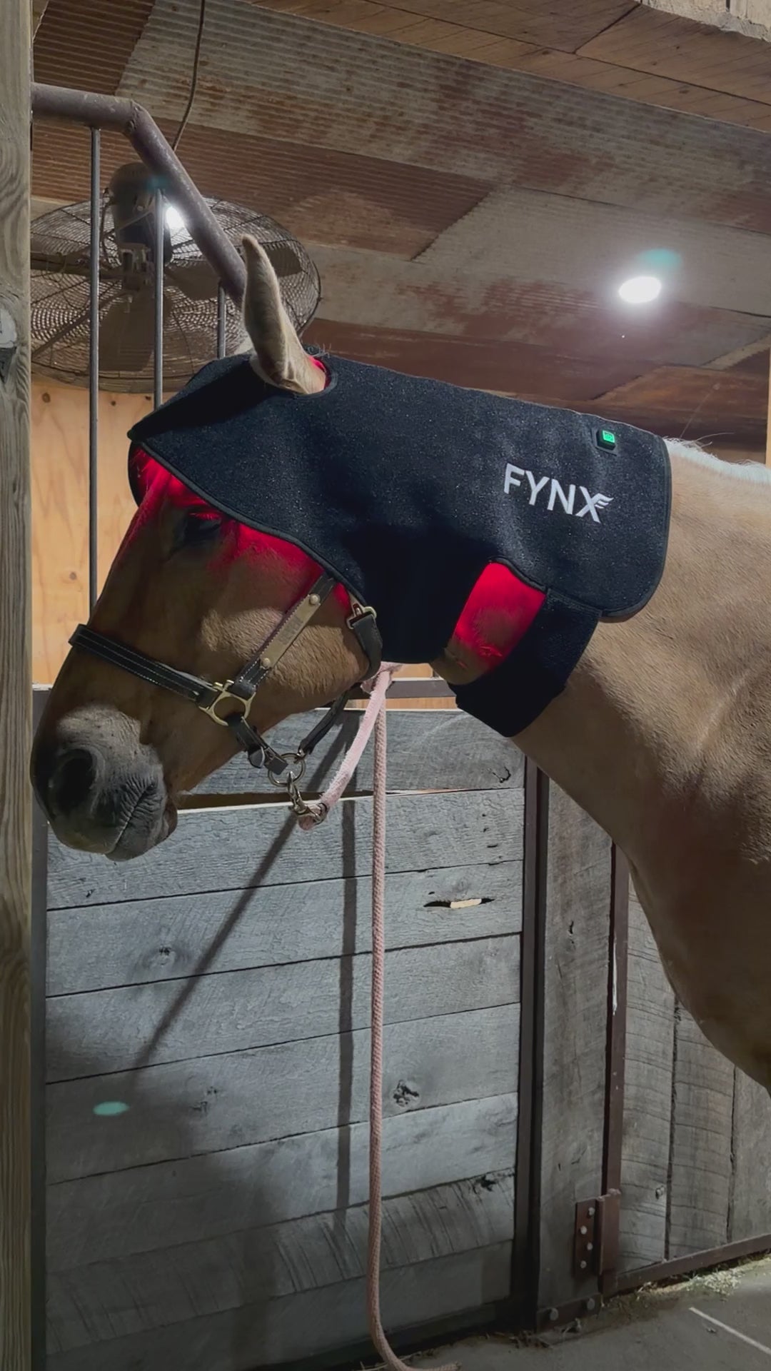 FYNX™ Ignite Poll Wrap